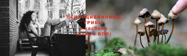 соль ск Заводоуковск